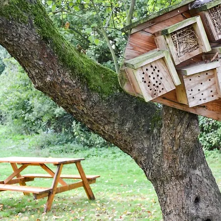 酒店 Denkhaus Loccum