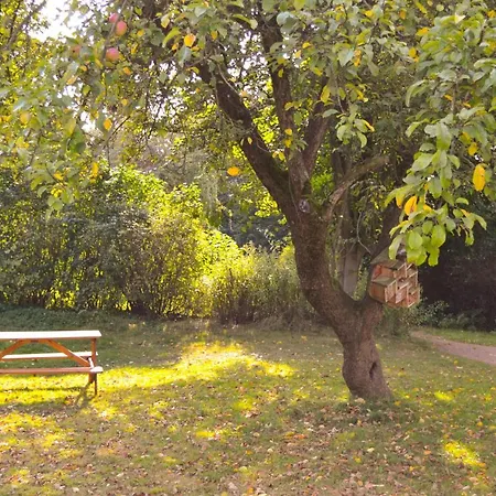 Hotel Denkhaus Loccum